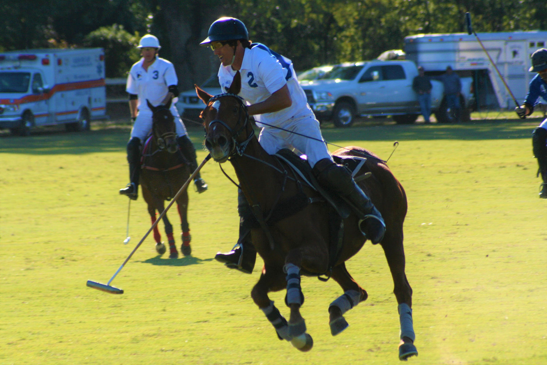 Thoroughbred Country is known for its polo stables, fields, horse parks and training tracks. Polo has been played at Aiken Polo Club's Whitney Field since 1882.